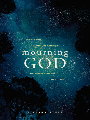 cover image of Mourning God